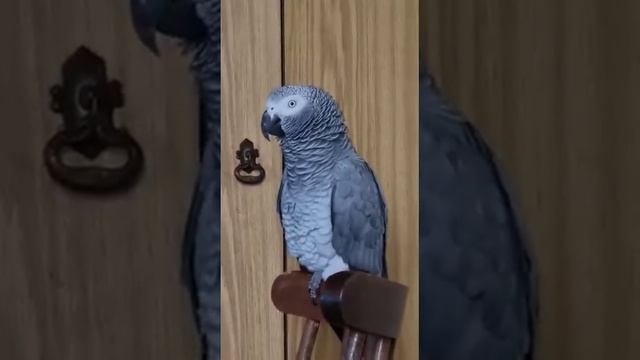 Классная музыка и классные танцы... смотреть онлайн