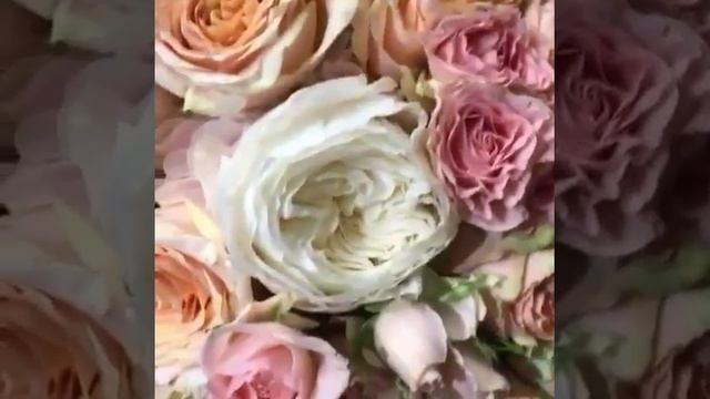 Букет пионовидных роз смотреть онлайн