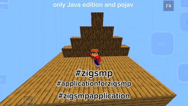 APPLICATION OPEN MINECRAFT LIFESTEAL SERVER #zigsmpappliction смотреть онлайн