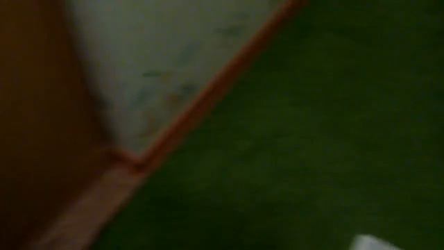 Вызвали духа египетского кота смотреть онлайн