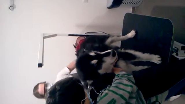 Зидан-суперзвезда)