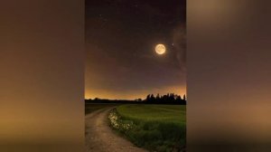 Черти/Истории из жизни