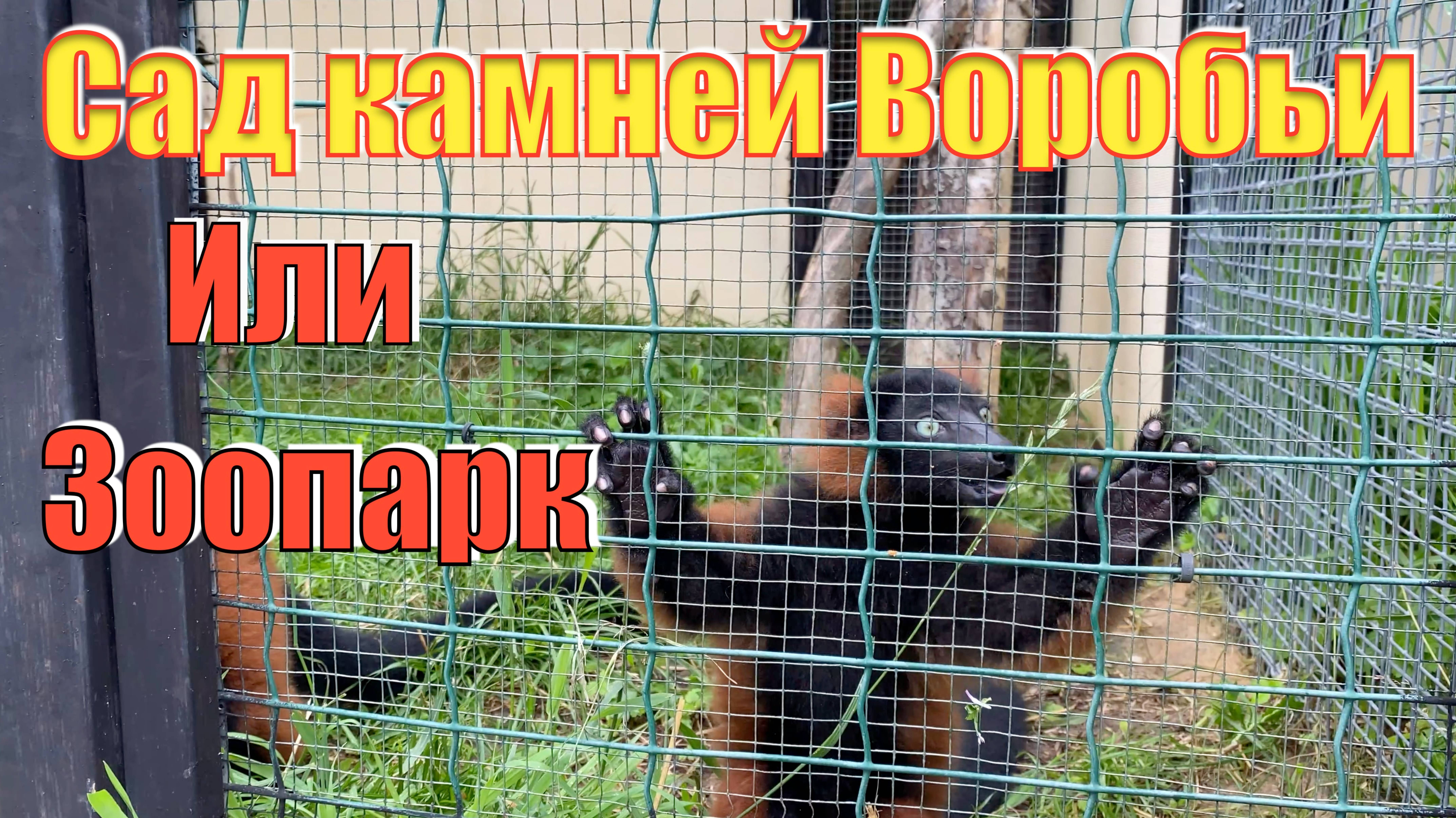 Сад камней Воробьи и Парк птиц Воробьи в Калужской области