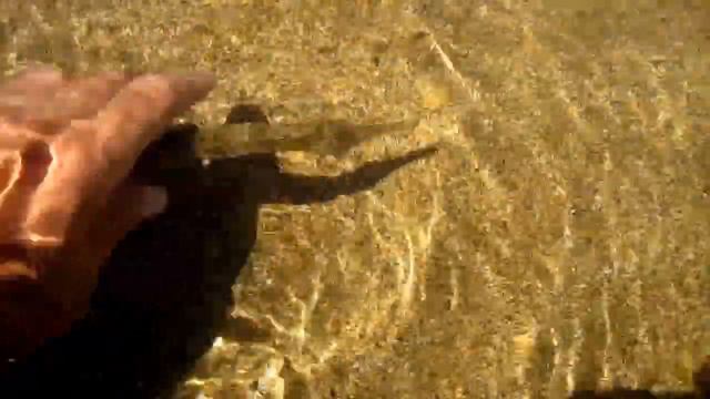 Берегите природу мать вашу смотреть онлайн