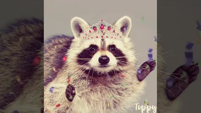 Мой акк.в роблокс украли смотреть онлайн