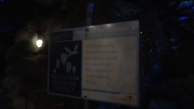 Flight of Passage full queue walkthrough POV | Pandora - The World of Avatar смотреть онлайн