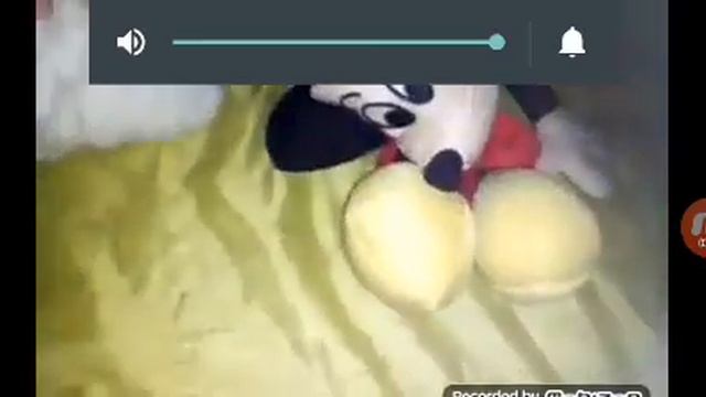 Сборник Лошади мамы смотреть онлайн