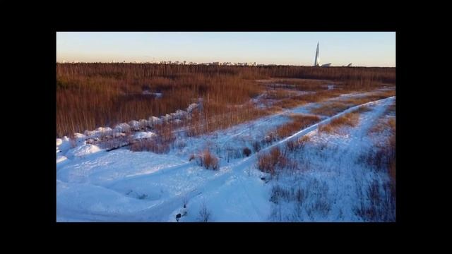 Южнее I очереди ЖК «Юнтолово» 27 02 2022 смотреть онлайн