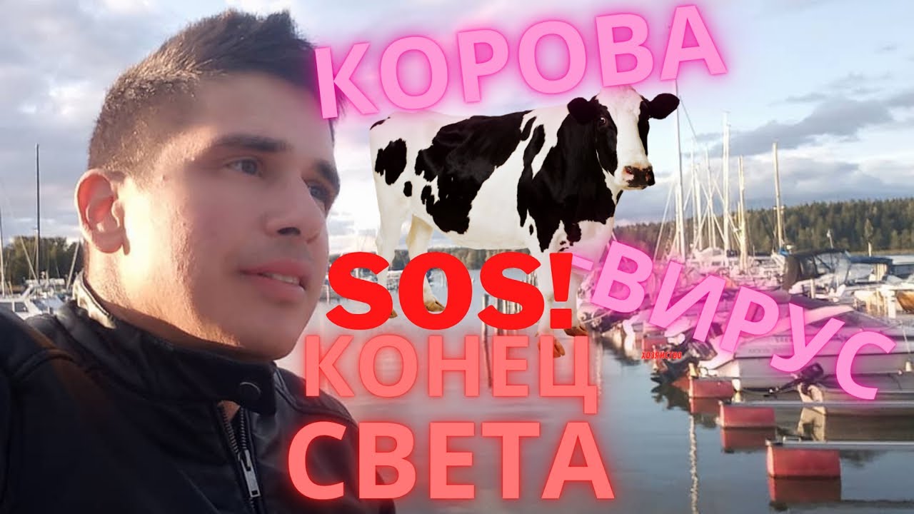 Готовимся к КОНЦУ СВЕТА!!! Объявлен SOS! уже в 40 странах! По почте пришли книги про конец света WOW смотреть онлайн