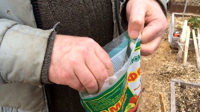 Лук за один сезон через рассаду. Рассада лука на конец апреля. Высаживаю рассаду лука эксибишен. смотреть онлайн