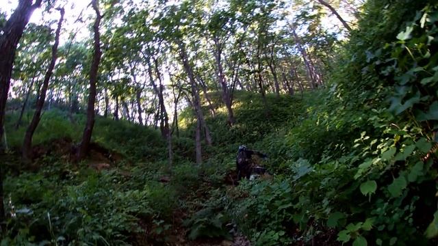 YAMAHA WR450F РУЧЕЙ смотреть онлайн