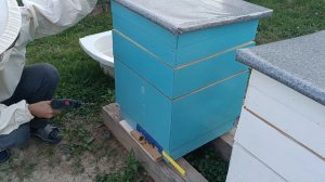 Добавляю верхний леток в улье с пчёлами.