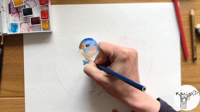 Рисуем зяблика! смотреть онлайн