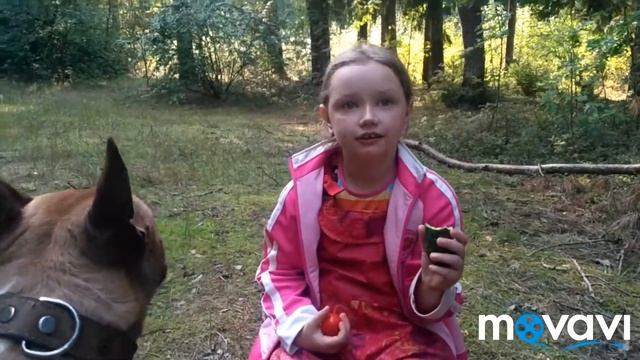 Пошли по грибы. Какой нашли муравейник и странный гриб! Что натворила наша собака! смотреть онлайн