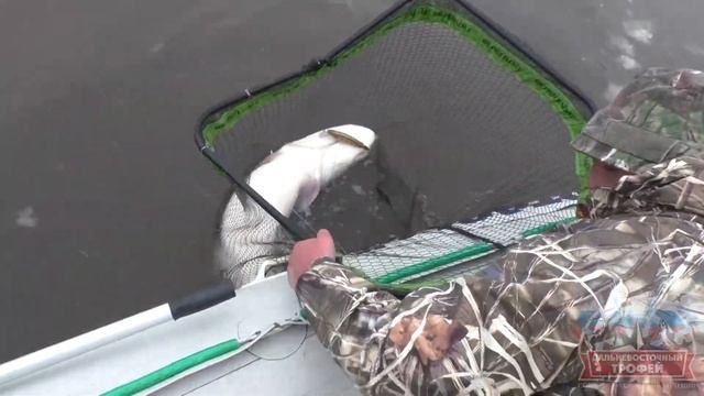 Трофейный таймень. Трофейная рыбалка. Таймень 47 кг. смотреть онлайн