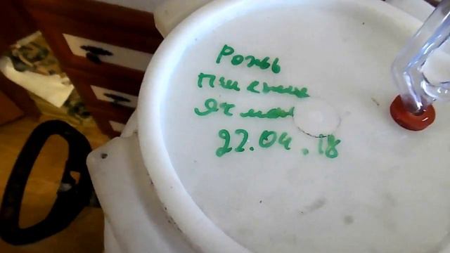 когда на меня сплин напал, не отбиться смотреть онлайн