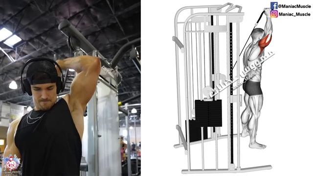 How To Build Your Triceps workout Fast (6 Effective Exercises) смотреть онлайн
