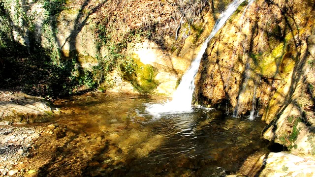 DSC_0195 смотреть онлайн