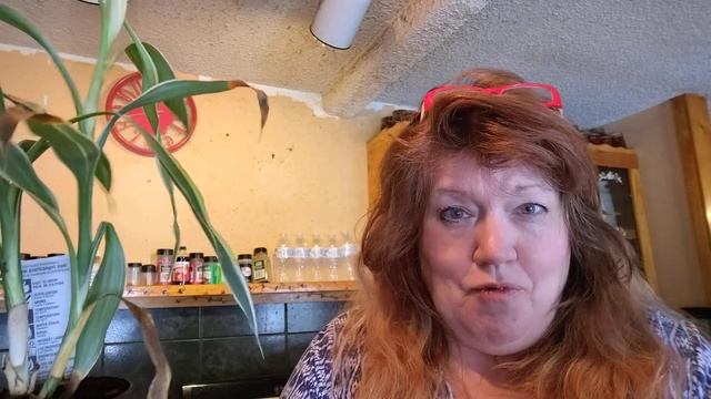 Dracaena Lemon Surprise houseplant care and information #HOUSEPLANT смотреть онлайн