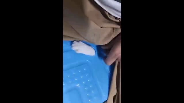 Funniest Cats And Dogs Videos  - Best Funny Animal Videos 2023