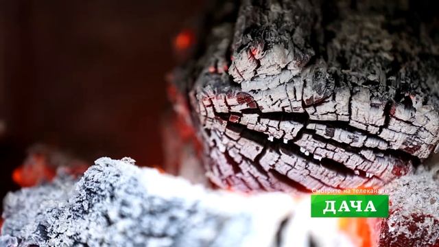 "На даче у звезды" гость Олекса Кібкало. АНОНС смотреть онлайн