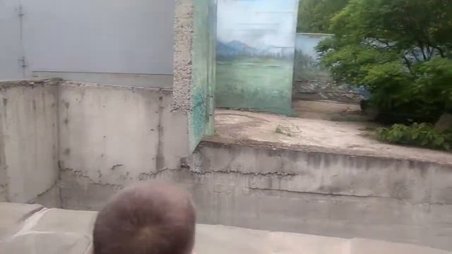 Прогулка по Ростовскому зоопарку! смотреть онлайн