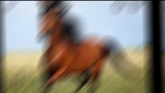 Суть тренда показать своё животное ❤❤❤❤❤❤😍😍😍 смотреть онлайн