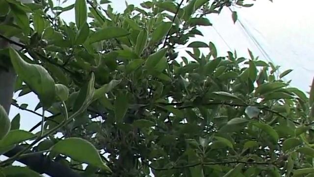 OTKOS 30 04 2016 смотреть онлайн