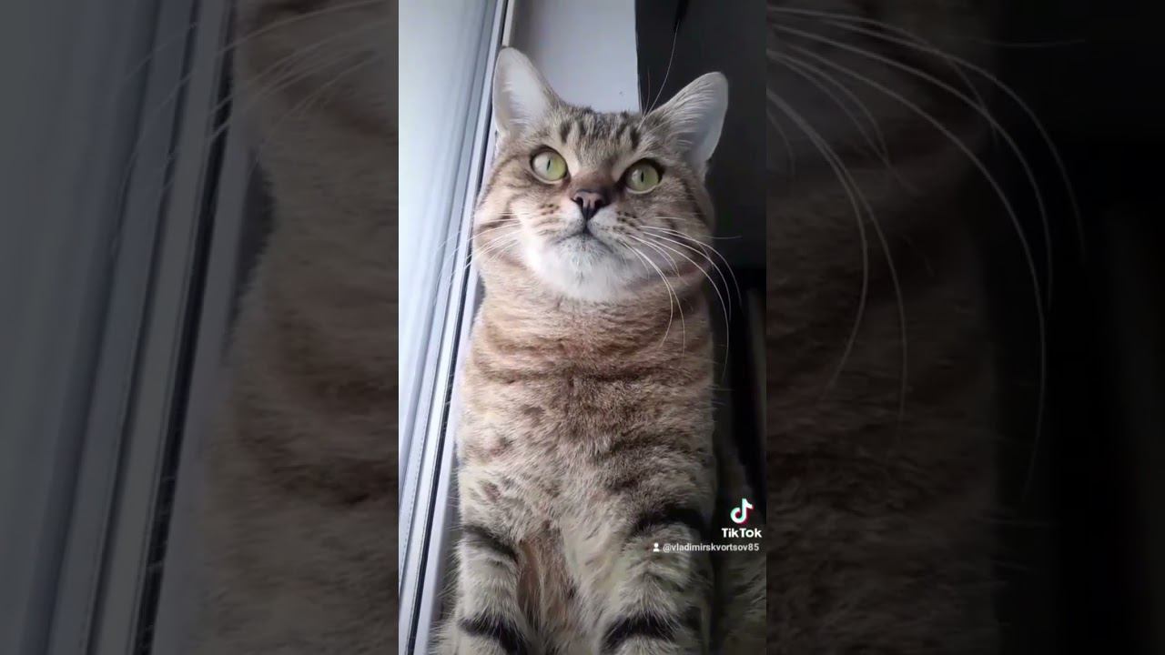 иди кушать.... смотреть онлайн