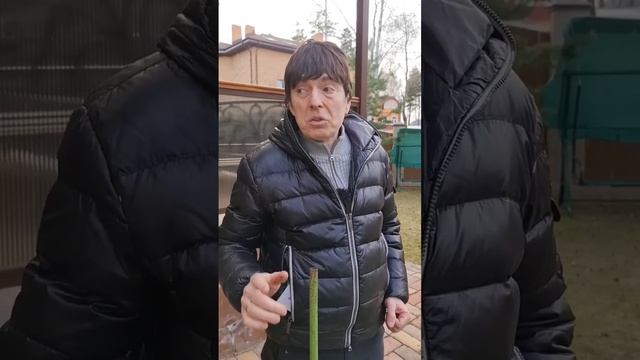 Первомайский трудяга [Персонажи] - Геннадий Ветров #геннадийветров #юмористветров #персонажи #юмор смотреть онлайн