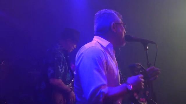 StoneFlower Band - Classic Rock