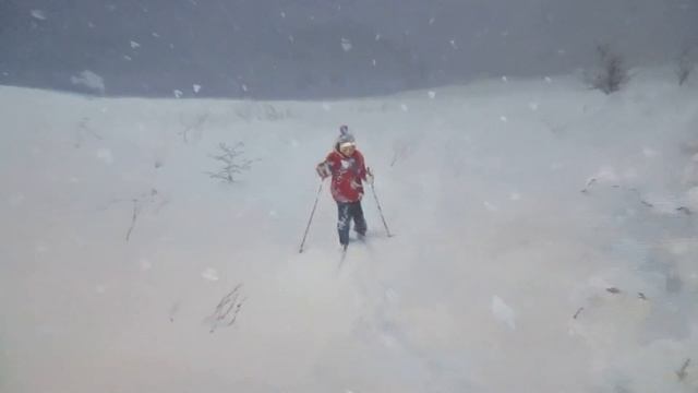 OIL PAINTING. ARTIST FEDOR USACHEV МАСЛЯНАЯ ЖИВОПИСЬ. ХУДОЖНИК ФЕДОР УСАЧЕВ смотреть онлайн