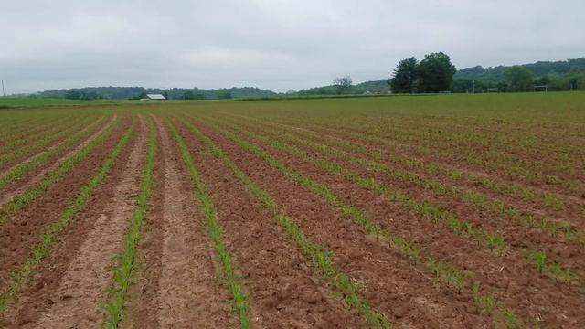No-till will not work here on my farm. смотреть онлайн