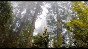 2 мая День Матроны. День Ивана. Что нельзя делать 2 мая. Народные традиции и приметы и суеверия