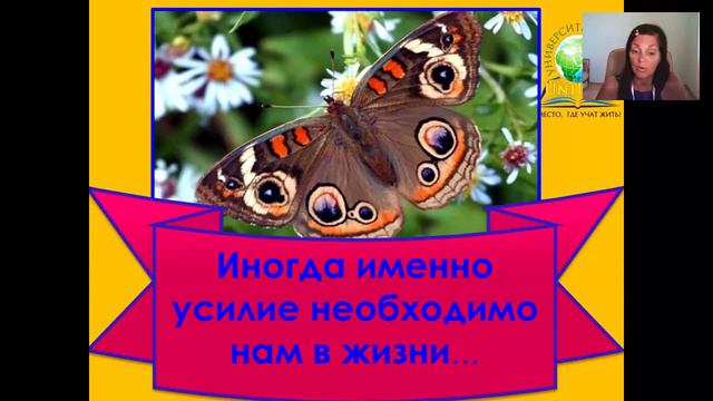 Если бы не было проблем смотреть онлайн