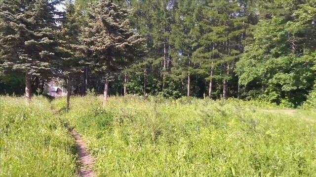 Обзор парка имени лесовода "Георгия Рутто" в Уфе смотреть онлайн