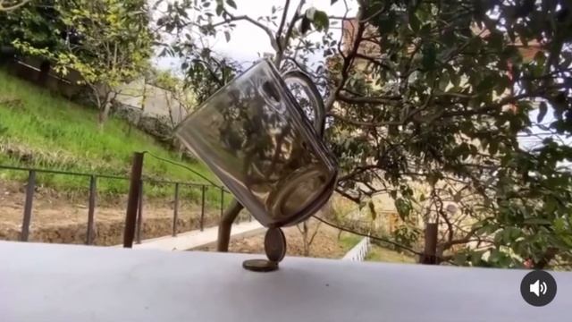 Григор Асатрян в Сочи смотреть онлайн