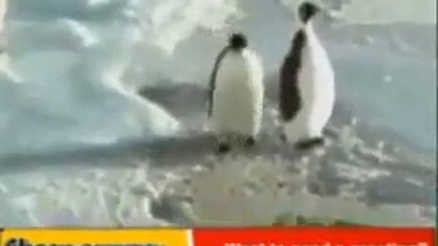 У каждого бывает не удачный день смотреть онлайн