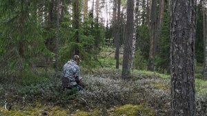 Заснял медведя на берегу Унжи. Таёжный промысел в Костромской глуши.