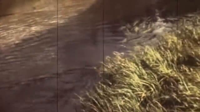 Летающие бобры смотреть онлайн