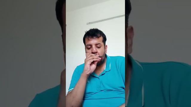 Redemption - Bob Marley (Harmonica) смотреть онлайн
