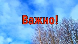 9 марта Иванов День. Что нельзя делать 9 марта. Народные традиции и приметы и суеверия