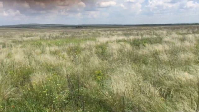 Донская сухая типчако ковыльная Степь смотреть онлайн