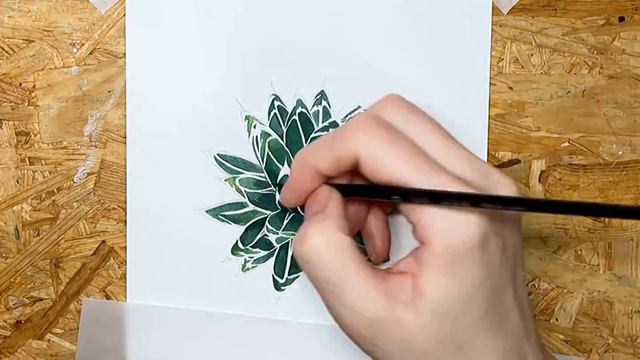 Botanical Art Painting Timelapse 【Agave Victoria reginae】ボタニカルアート / 植物画 смотреть онлайн