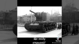 Мальчик хочешь котика покажу?