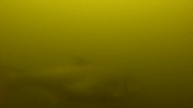Приглашаю на подводную охоту на ТОЛСТОЛОБИКА! смотреть онлайн