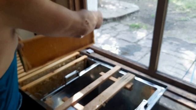 Заключительная работа пчеловодческого сезона. смотреть онлайн