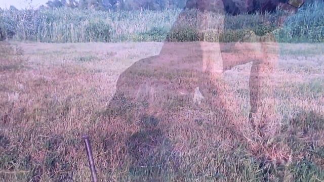 3 Кола по среди двора. Отжимания на колах. Безумная тренировка циркача. смотреть онлайн