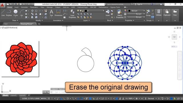 Draw a flower using autocad sample(1) смотреть онлайн