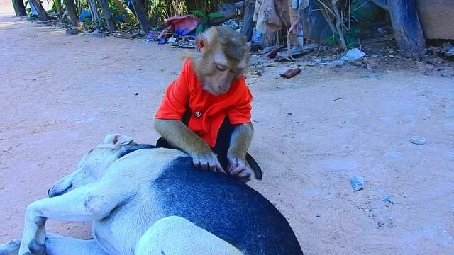 Are You Ok Andy ! SokYaa Push Out Fruit Away Cos Found Him Like This смотреть онлайн